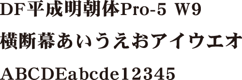 DF平成明朝体Pro-5 W9