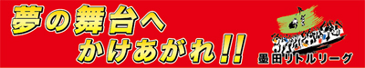 墨田リトルリーグ横断幕