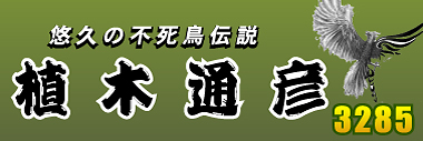 競艇横断幕デザインサンプル